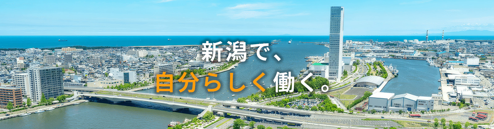 自分らしく働きたい！そう考える多くの人がファインズからの派遣就業を選んでいます。